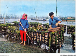 AJJP2-0134 - METIER - BASSIN D'ARCACHON - TRAVAUX OSTRÏCOLES - LA RECOLTES DES ALEVINS SUR LES TUILES  - Pesca