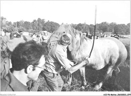 AJJP6-0544 - METIER - PLOUAY - CONCOURS DEPARTEMENTAL DU CHEVAL BRETON  - Other & Unclassified