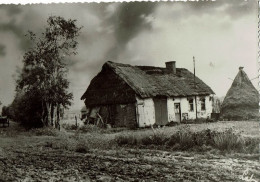 Stroohut In De Kempen   Belgie  LAB - Other & Unclassified