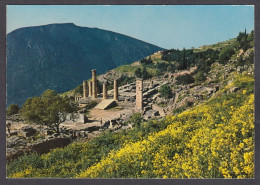 125008/ DELPHI, Delphes, Archaeological Site, Temple Of Apollo - Griekenland