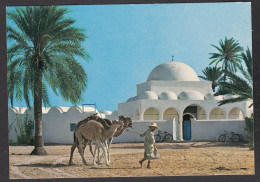 114189/ MAHBOUBINE, Ile De Djerba, La Mosquée - Tunesië