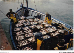 AKPP8-0710-METIER - RETOUR DE PECHE EN BRETAGNE  - Fishing