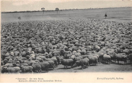 Australie - N°64692 - Droving On The Road - Moutons - Otros & Sin Clasificación