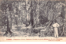 Congo Français - N°61540 - Plantations D'Irechs (Funtumia Elastica) En Forêts Débroussés - Société Alimaïnne - Congo Francese