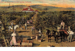 Etats-Unis - N°67768 - CALIFORNIA - Oil Wells And Orange Groves - Carte Pliée Vendue En L'état - Autres & Non Classés