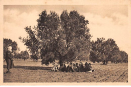 TUNISIE - SAN26987 - Ramassage Des Olives De Chute Avant La Cueillette - Tunesië