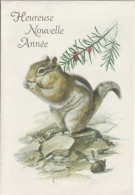 112 - CARTE HEUREUSE NOUVELLE ANNEE GAUFFREE . ECUREUIL GLANDS . HALLMARK - New Year