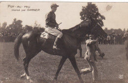 POT AU FEU MONTE PAR GARNER - Hippisme