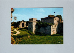 Tiffauges (85) : Chateau De Gilles De Rais, Dit Barbe-Bleue - Le Donjon, Le Chatelet, La Chapelle - Other & Unclassified