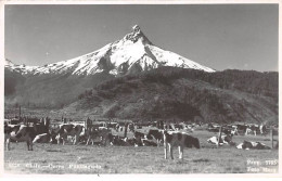 CHILI - SAN51280 - Carte Photo - Cerro - Puntiagudo - Chili