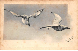 Animaux - N°85589 - Oiseaux En Plein Vol - Oiseaux