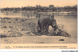 CAR-AAZP3-0216 - VIET-NAM - Un éléphant Qui Lance à L'eau Bambours Destinés à La Construction D'un Radeau  - Vietnam