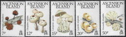 Ascension 1983 Flora: Funghi 5v.  Cpl. Yv. 331/35 Mnh** Spl - Sonstige & Ohne Zuordnung