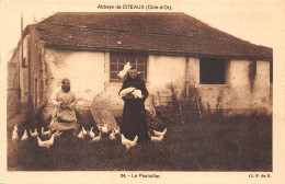 Abbaye De Citeaux Poulailler Poules Poule Coq - Oiseaux