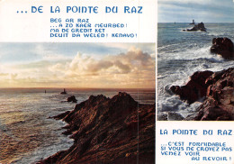 29-LA POINTE DU RAZ-N°4134-D/0269 - La Pointe Du Raz