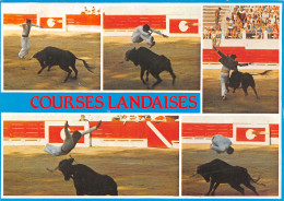 40-LES LANDES CORRIDA-N°4135-B/0257 - Altri & Non Classificati