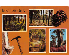 40-LES LANDES-N°4135-B/0075 - Altri & Non Classificati