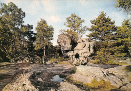 77-FONTAINEBLEAU LA FORET-N°4137-B/0297 - Fontainebleau