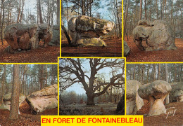 77-FONTAINEBLEAU LA FORET-N°4139-D/0013 - Fontainebleau