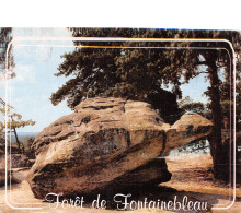 77-FONTAINEBLEAU LA FORET-N°4139-D/0009 - Fontainebleau