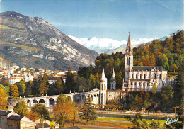 65-LOURDES-N°4142-D/0387 - Lourdes