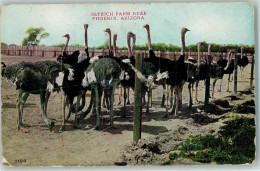 10223391 - Strausse Ostrich Farm Phoenix Arizona - Otros & Sin Clasificación