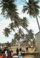 Martinique - Le Vauclin Et Les Vieux Cocotiers - CPM - Voir Scans Recto-Verso - Otros & Sin Clasificación