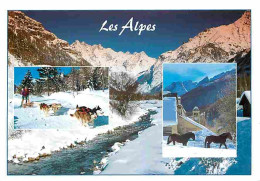 Animaux - Alpes - Multivues - Chiens Husky - Chevaux - CPM - Voir Scans Recto-Verso - Otros & Sin Clasificación