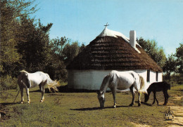 13-LA CAMARGUE CABANE DE GARDIANS-N°4145-D/0155 - Otros & Sin Clasificación