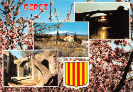 66-CERET-N°4145-C/0343 - Ceret