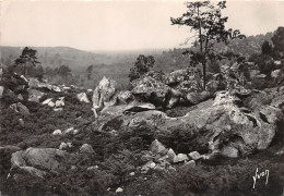 77-FONTAINEBLEAU-N°4146-A/0021 - Fontainebleau