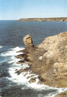 29-LA POINTE DU RAZ-N°4147-C/0353 - La Pointe Du Raz