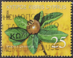 2006 Zypern (Republik) ⵙ Mi:CY 1077, Sn:CY 1057, Yt:CY 1090, Sg:CY 1113, Mespilus Germanica (common Medlar Tree Fruit) - Usati