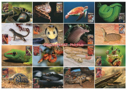 LIBYA 1996 Reptiles Reptilia Snakes Cobra Turtles (16 Maximum-cards) - Other & Unclassified