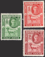 SOMALILAND PROTECTORATE/1942/MH/SC#96-8/KING GEORGE VI / KGVI / BLACKHEAD SHEEP/  PARTIAL SET - Somaliland (Protectorate ...-1959)