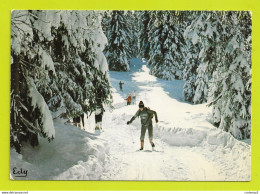 Sports D'hiver Ski De Fond Skieurs Skieuses VOIR DOS Et Flamme Du GRAND BORNAND En 1985 Cliché Valéry D'Amboise - Sports D'hiver
