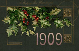 ANNO DATA 1909 - YEAR DATE 1909 - Agrifoglio - Rilievo, Gaufré, Embossed - VG - #011 - New Year