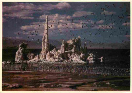 Etats Unis - Mono Lake - Etat De Californie - California State - CPM - Carte Neuve - Voir Scans Recto-Verso - Autres & Non Classés