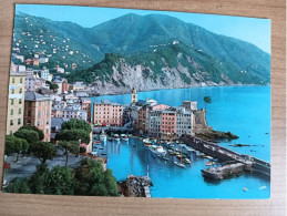 CARTOLINA ITALIA 1972 GENOVA CAMOGLI PANORAMA Italy Postcard ITALIEN Ansichtskarten - Genova (Genoa)