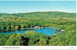 THE LAKE, LLANDRINDOD WELLS, POWYS, WALES. UNUSED POSTCARD  Ph2 - Other & Unclassified