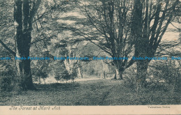 R162641 The Forest At Mark Ash. Valentine. F. Broomfield. 1911 - Wereld