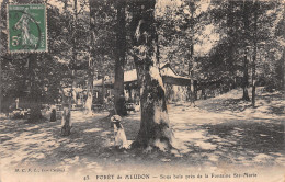 92-FORET DE MEUDON-N°T1086-C/0215 - Other & Unclassified