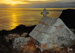 29-LA POINTE DU VAN-N°T1087-F/0199 - La Pointe Du Raz