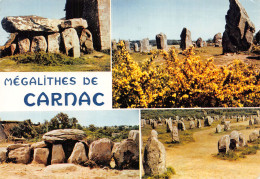 56-CARNAC-N°T1088-C/0263 - Carnac