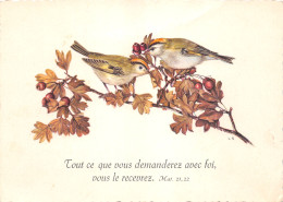 TH-OISEAUX-N°TB3540-A/0259 - Birds