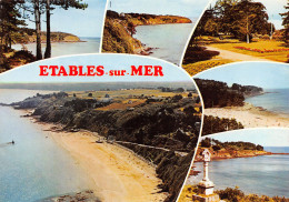 22-ETABLES SUR MER-N°TB3542-C/0001 - Etables-sur-Mer