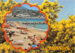 83-LE LAVANDOU-N°TB3542-D/0095 - Le Lavandou