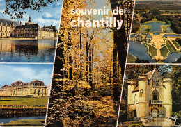 60-CHANTILLY-N°TB3544-A/0327 - Chantilly