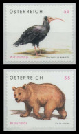 ÖSTERREICH 2006 Nr 2622-2623 Postfrisch S272F32 - Nuevos