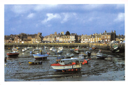 50-BARFLEUR-N°TB3549-A/0097 - Barfleur